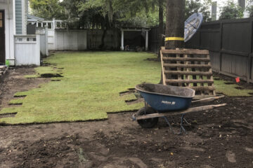 Sod Installation